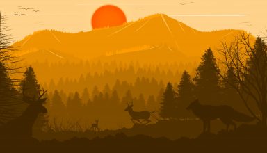 Deer Forest Fox Sun Red Trees Birds Wallpaper