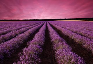 Lavender Field Sky Mountain Provence France Wallpaper