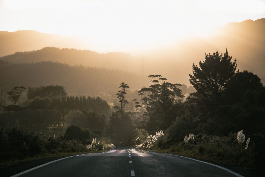 Road Surrounded by Trees Wallpaper