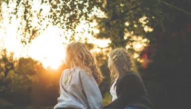 Two Women Sitting Near Green Tree During Sunset Wallpaper