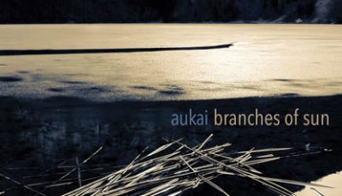دانلود آلبوم موسیقی Branches of Sun توسط Aukai