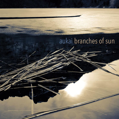 دانلود آلبوم موسیقی Branches of Sun توسط Aukai