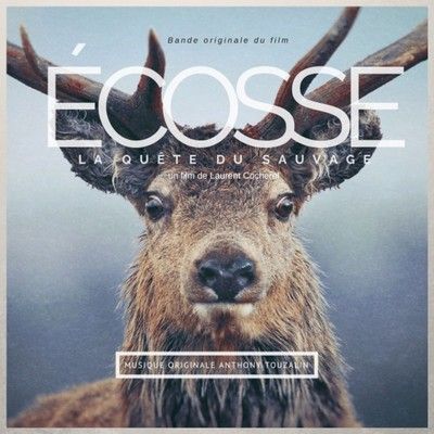دانلود موسیقی متن فیلم Ecosse, la quête du sauvage