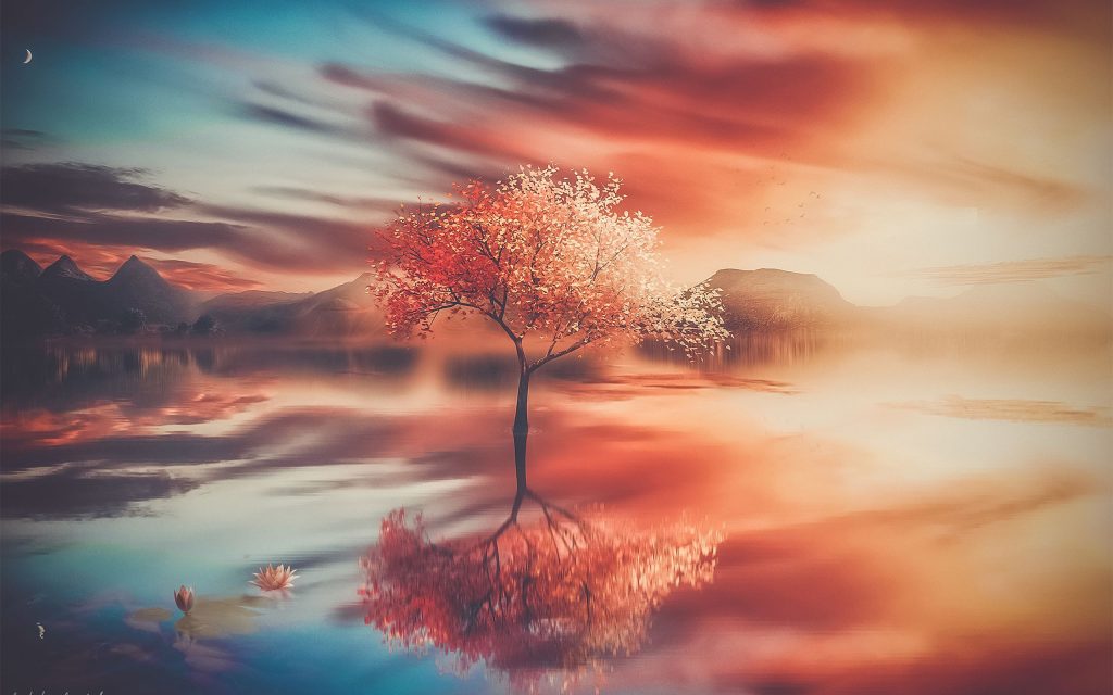 Autumn Tree Reflections Wallpaper