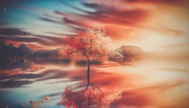 Autumn Tree Reflections Wallpaper
