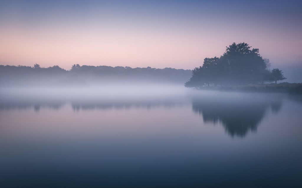 Foggy Richmond Park Morning Cold Reflections London 5k Wallpaper