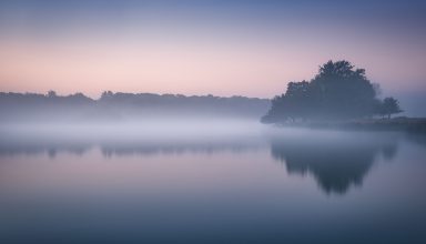 Foggy Richmond Park Morning Cold Reflections London 5k Wallpaper