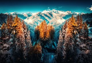 Snow Landscape Mountains Trees Forest Wallpaper