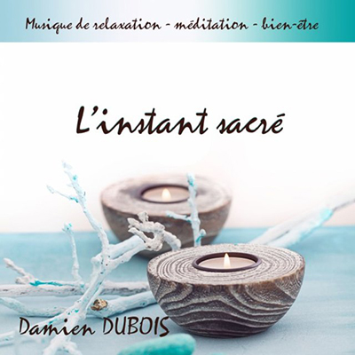 دانلود آلبوم موسیقی L'instant sacré توسط Damien Dubois