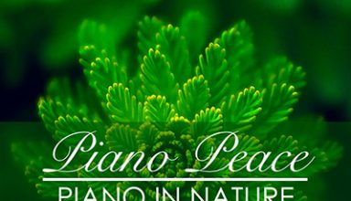 دانلود آلبوم موسیقی Piano in Nature توسط Piano Peace