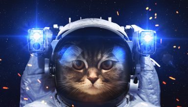 Astronaut Cat Wallpaper