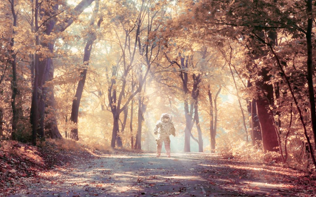 Astronaut in Autumn Wallpaper