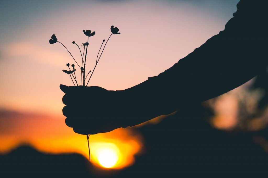 Hand Flowers Silhouette Wallpaper