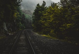 Railway Forest Trees Wallpaper