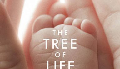 دانلود موسیقی متن فیلم The Tree of Life – توسط Alexandre Desplat