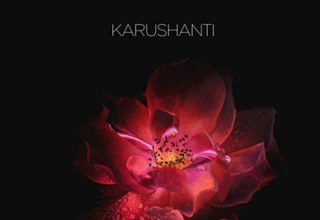 دانلود آلبوم موسیقی Reiki Healing توسط Karushanti