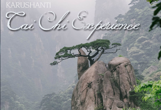 دانلود آلبوم موسیقی Tai Chi Experience توسط Karushanti