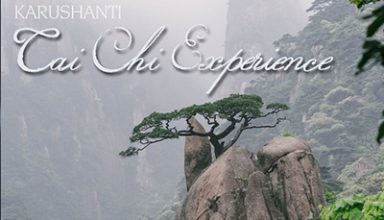 دانلود آلبوم موسیقی Tai Chi Experience توسط Karushanti