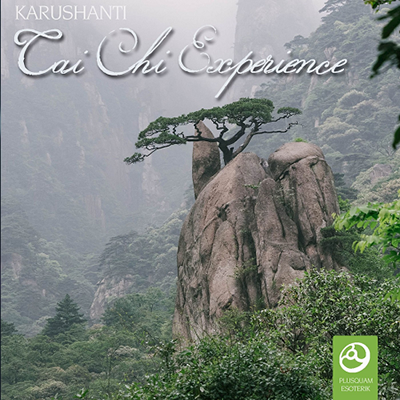 دانلود آلبوم موسیقی Tai Chi Experience توسط Karushanti