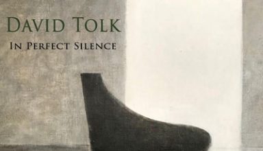 دانلود آلبوم موسیقی In Perfect Silence توسط David Tolk