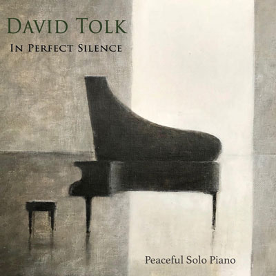 دانلود آلبوم موسیقی In Perfect Silence توسط David Tolk