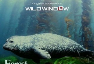 دانلود موسیقی متن فیلم Wild Window: Forests of the Sea