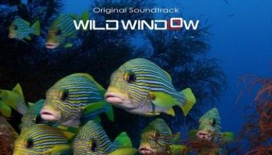 دانلود موسیقی متن فیلم Wild Window: Bejeweled Fishes