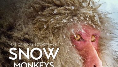 دانلود موسیقی متن سریال Snow Monkeys