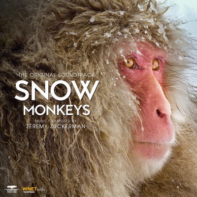 دانلود موسیقی متن سریال Snow Monkeys