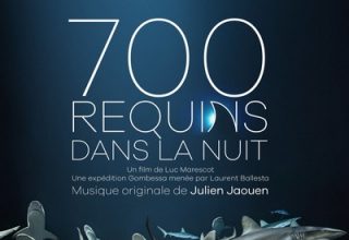 دانلود موسیقی متن فیلم 700 requins dans la nuit