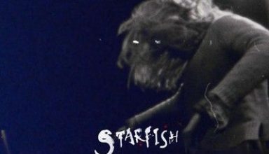 دانلود موسیقی متن فیلم Starfish