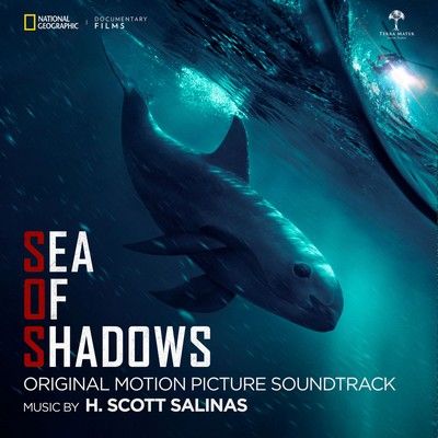 دانلود موسیقی متن فیلم Sea of Shadows