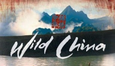 دانلود موسیقی متن سریال Wild China
