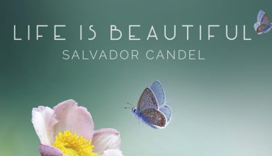 دانلود آلبوم موسیقی Life is Beautifulتوسط Salvador Candel