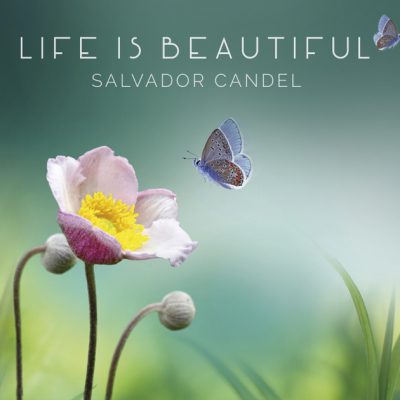 دانلود آلبوم موسیقی Life is Beautifulتوسط Salvador Candel