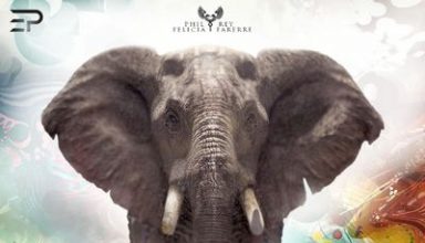 دانلود آلبوم موسیقی Elephant Dream توسط Phil Rey