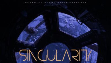 دانلود آلبوم موسیقی Singularity توسط Demented Sound Mafia