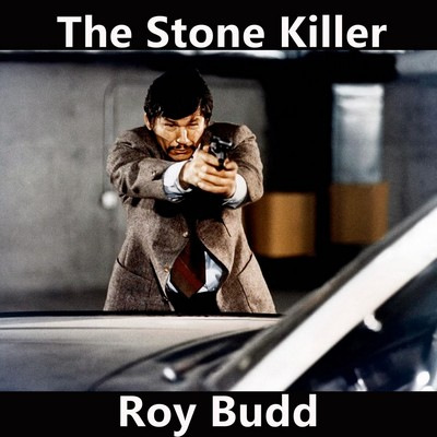 دانلود موسیقی متن فیلم The Stone Killer