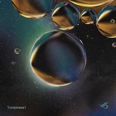 دانلود آلبوم موسیقی Transenses I توسط Transensations Records