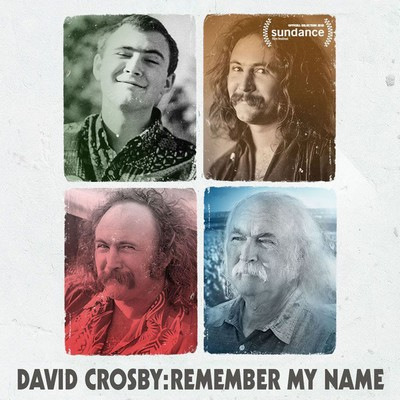 دانلود موسیقی متن فیلم David Crosby: Remember My Name