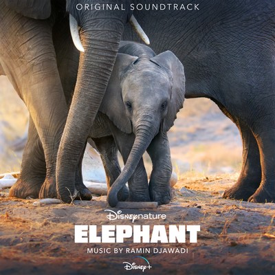 دانلود موسیقی متن فیلم Elephant