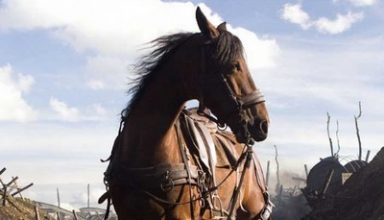 دانلود موسیقی متن فیلم War Horse