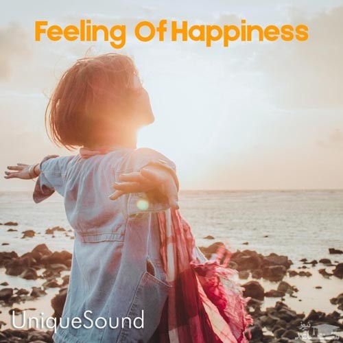 دانلود آلبوم موسیقی Feeling of Happiness توسط UniqueSound