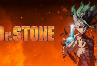 Dr. Stone