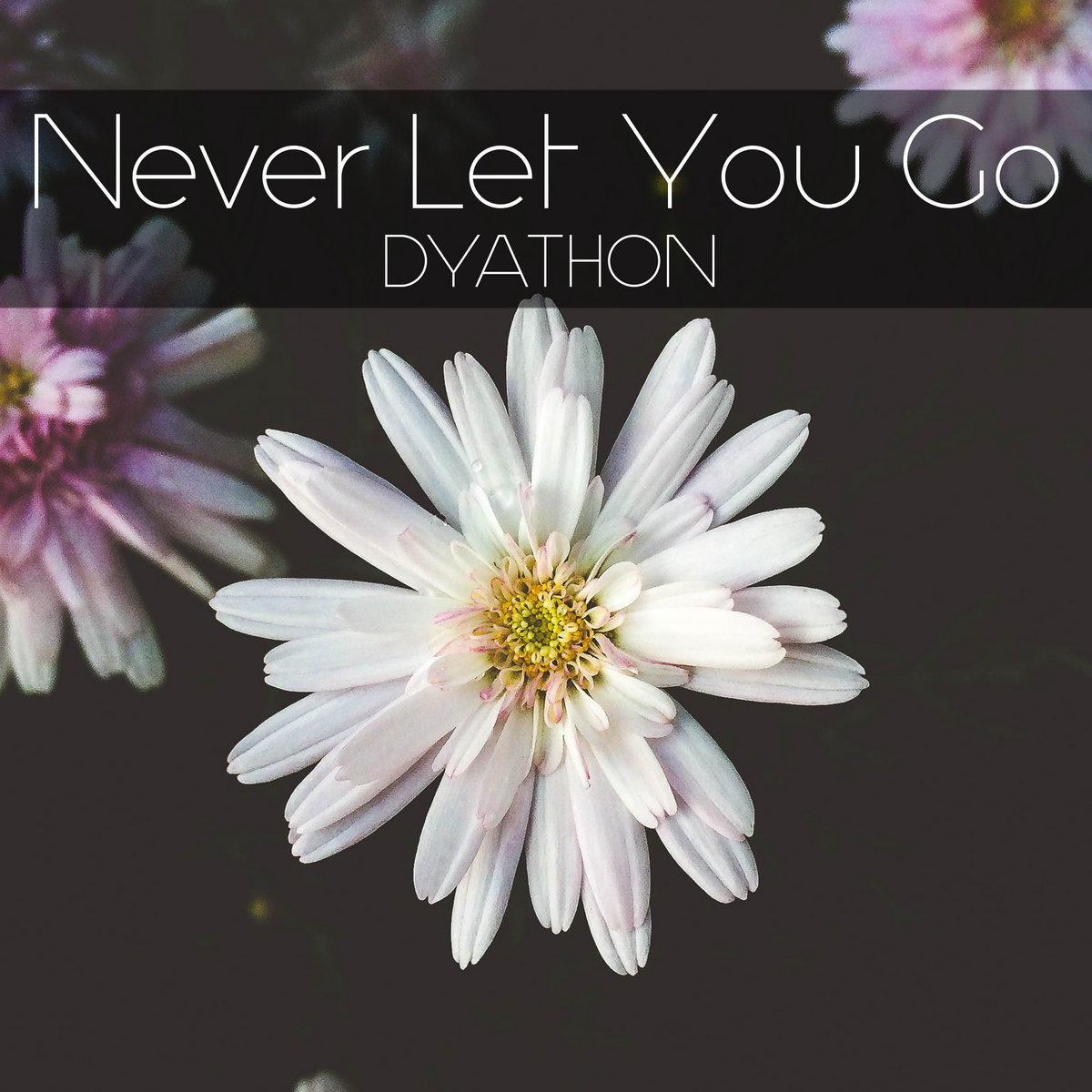 دانلود قطعه موسیقی Never Let You Go توسط DYATHON