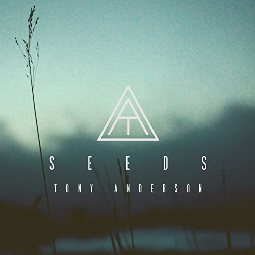 دانلود قطعه موسیقی Seeds توسط Tony Anderson