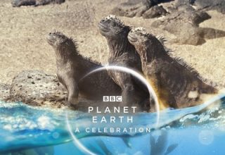 دانلود موسیقی متن سریال Planet Earth: A Celebration