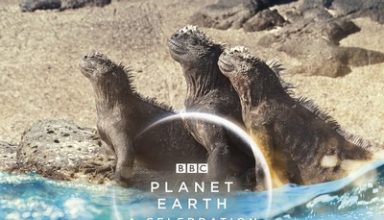 دانلود موسیقی متن سریال Planet Earth: A Celebration