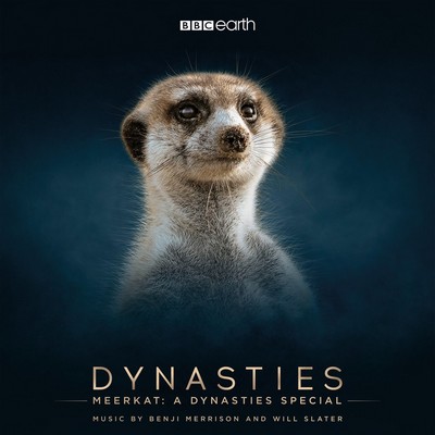 دانلود موسیقی متن فیلم Meerkat: A Dynasties Special