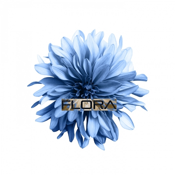 دانلود آلبوم موسیقی Flora توسط Peter Ries